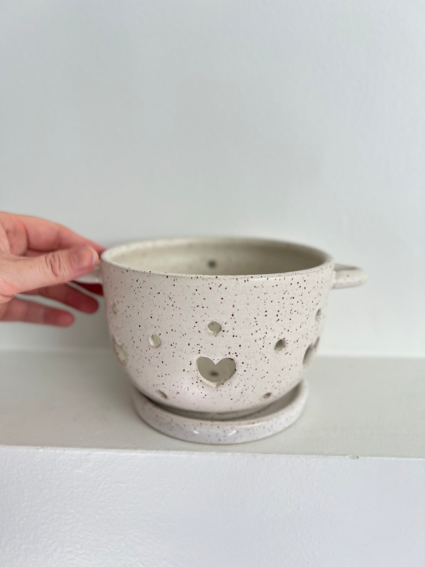 BERRY BOWL | DISCOUNTED