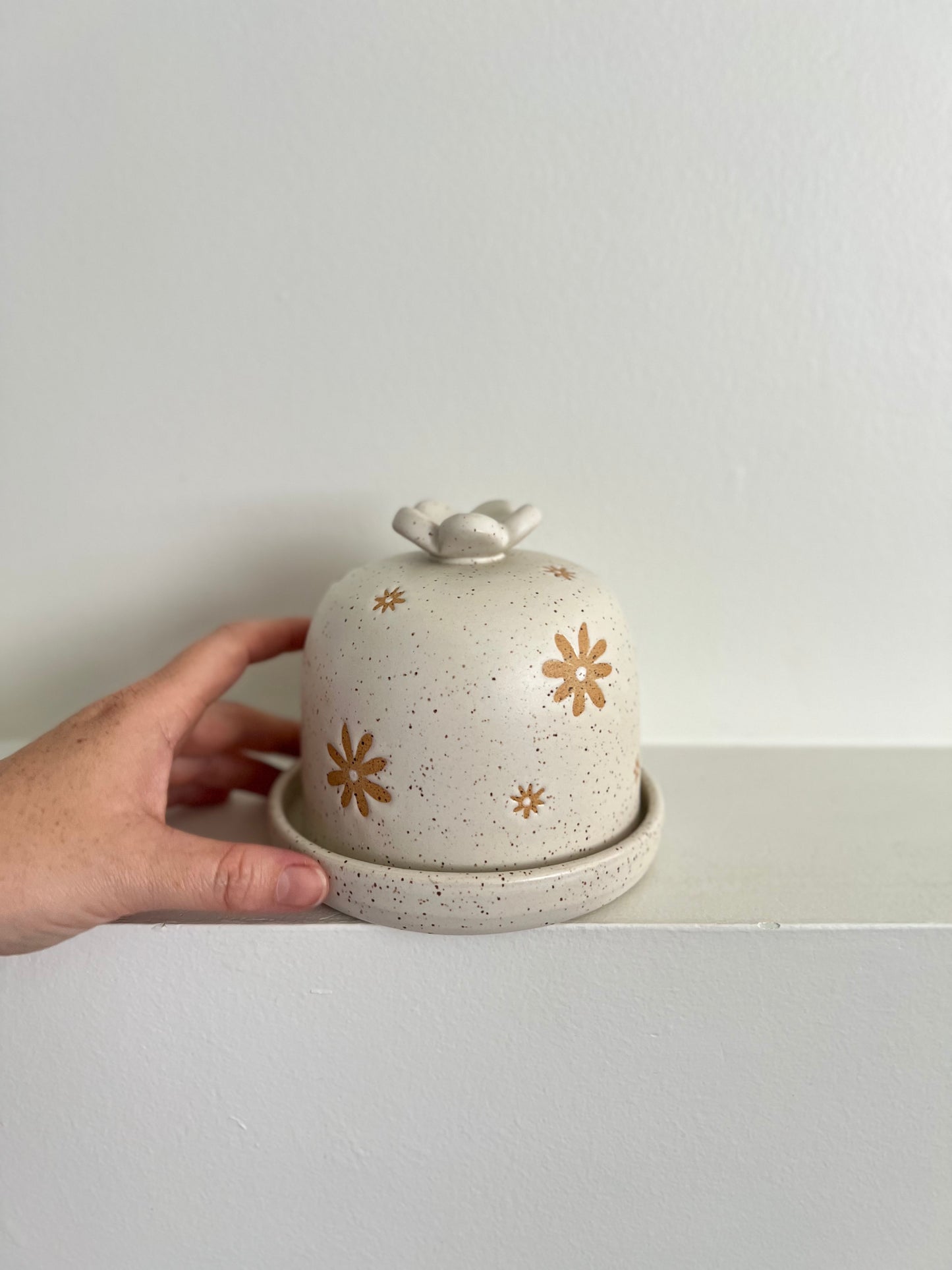 BUTTER DISH | DAISY