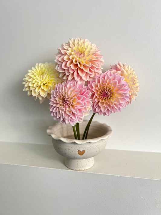PEDESTAL BOWL | RUFFLE | MID